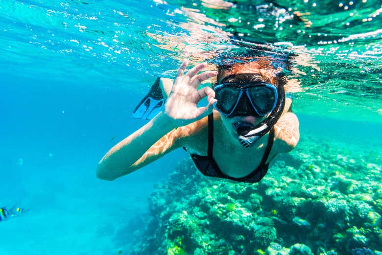 Excursión a Berlenga Grande