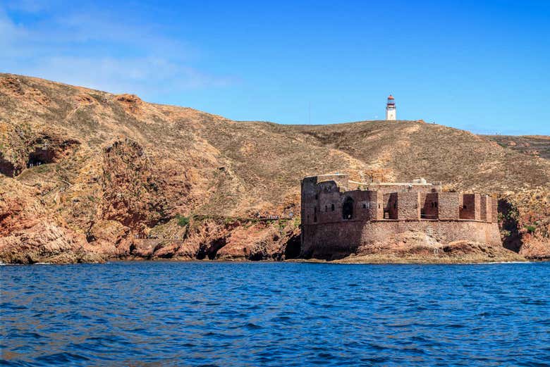 Excursión a Berlenga Grande