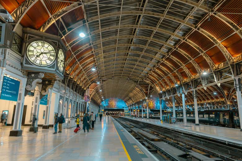 Tour del Oso Paddington por Londres
