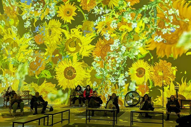 Entradas para Van Gogh: The Immersive Experience