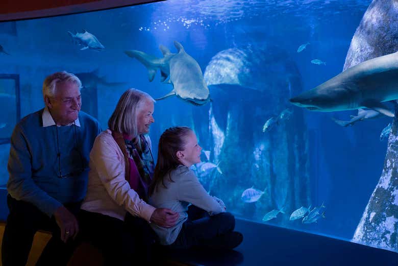 Entrada al Sea Life London