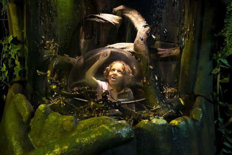 Entrada al Sea Life London