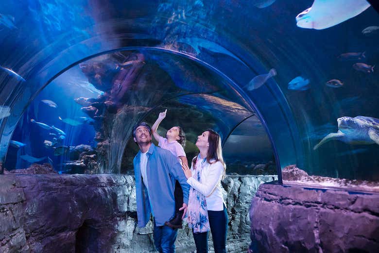 Entrada al Sea Life London