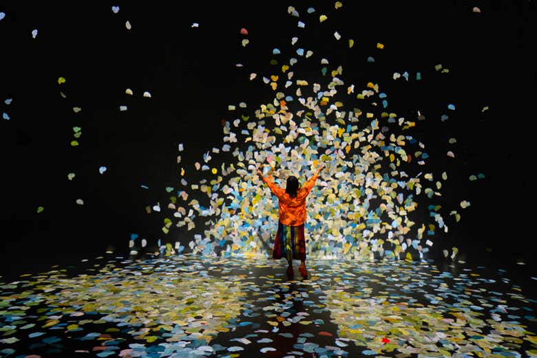 Entrada a Frameless Immersive Art Experience