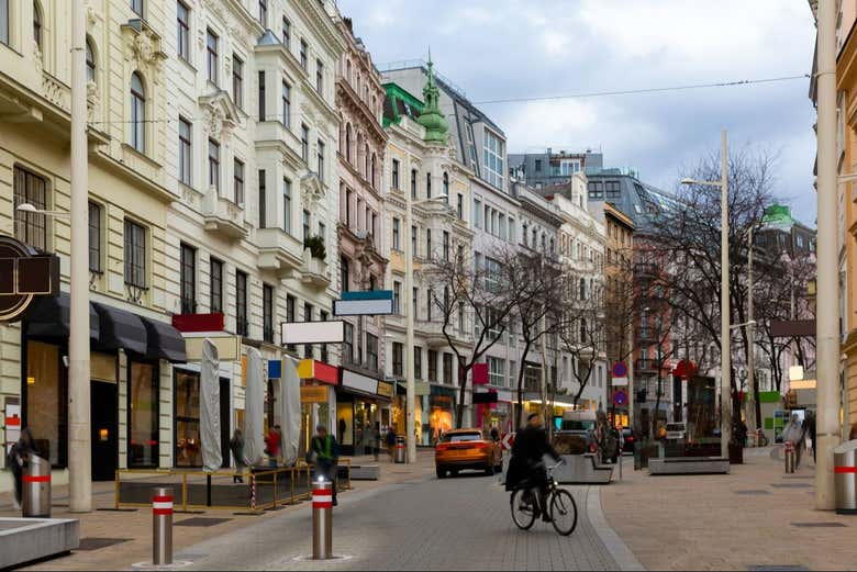 Excursión privada a Viena