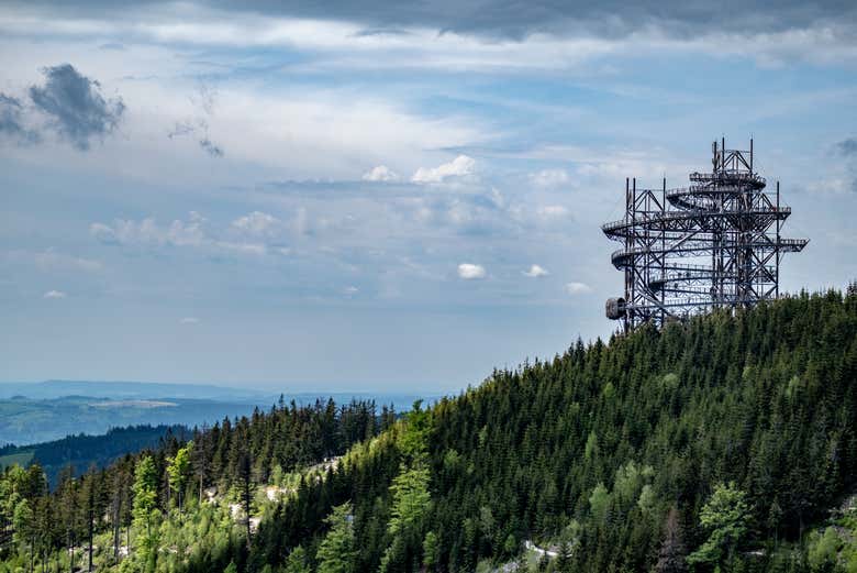 Excursión al Sky Bridge y Sky Walk