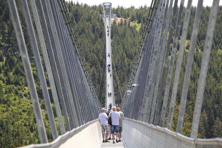 Excursión al Sky Bridge y Sky Walk
