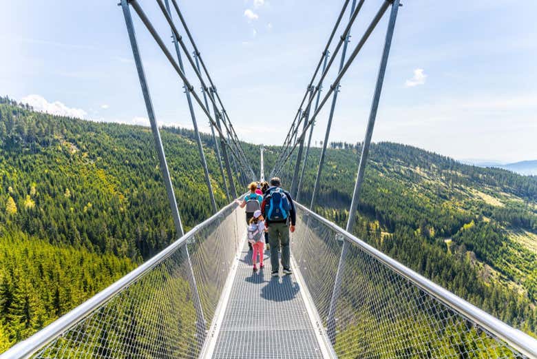 Excursión al Sky Bridge y Sky Walk