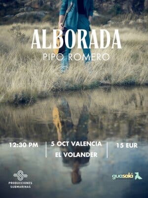 Pipo Romero en concierto