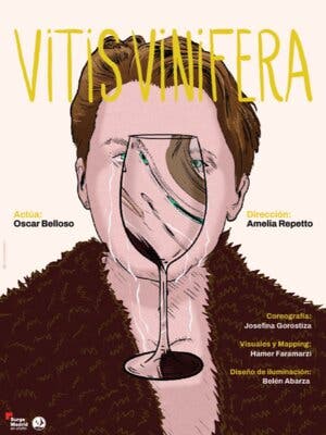 Vitis Vinifera