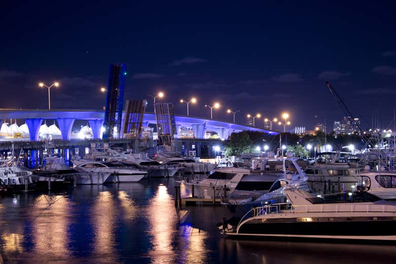 Paseo en barco eléctrico por Miami