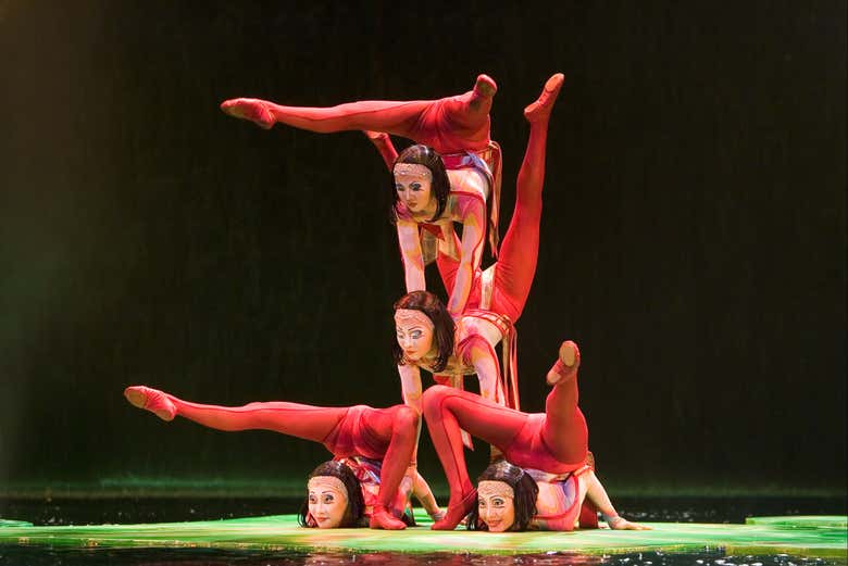 Entradas para O, Circo del Sol