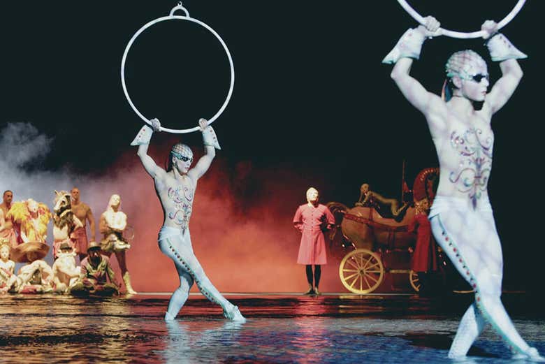 Entradas para O, Circo del Sol