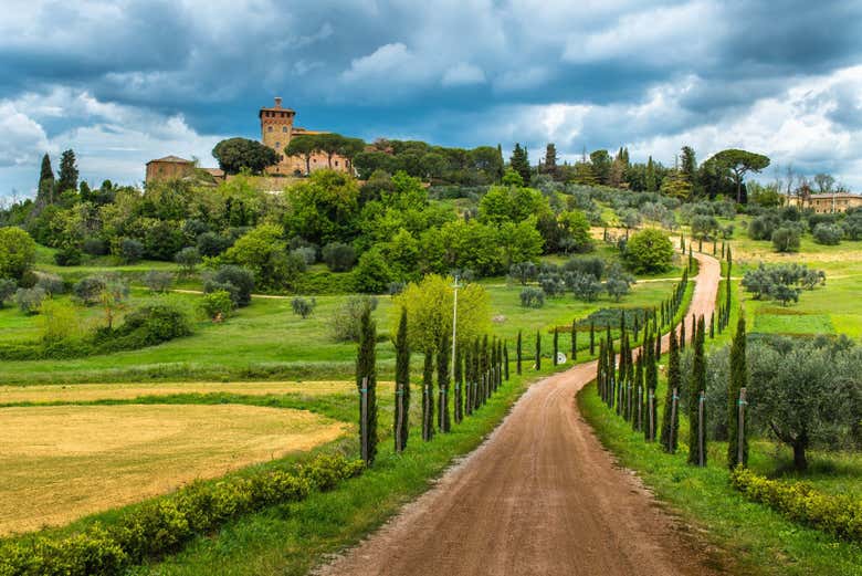 Excursión a Siena, San Gimignano, Monteriggioni y Chianti