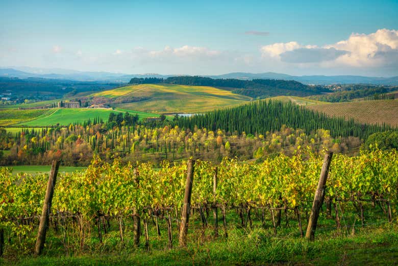 Excursión a Siena, San Gimignano, Monteriggioni y Chianti