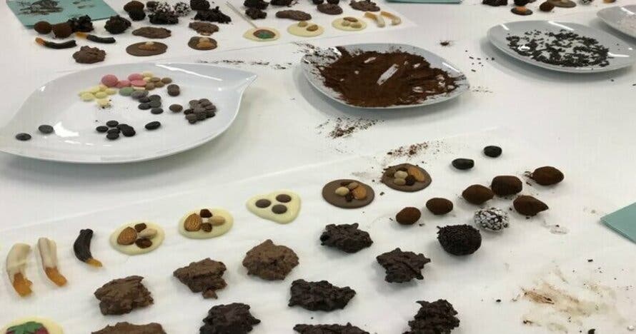 Chocomaster Gijon: taller y cata gourmet de chocolates profesionales