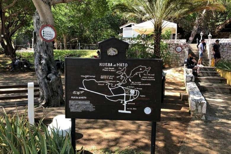 Excursión a las Cuevas de Hato y el santuario de flamencos