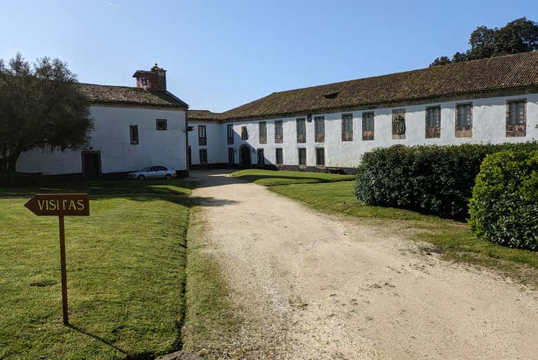 Tour por la Ciudad de la Cultura, Pazo de Rivadulla y Colegiata del Sar
