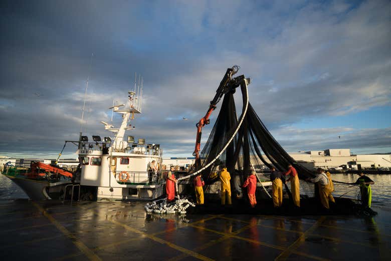 Tour por el puerto de Vigo + Visita a un vivero de marisco