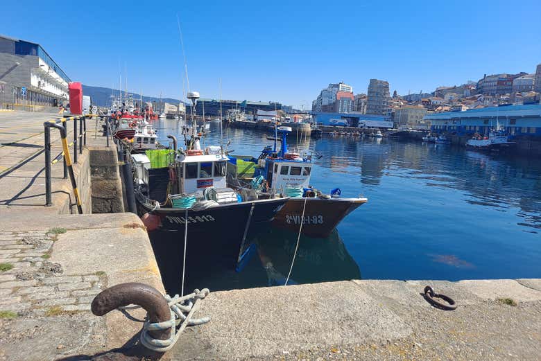 Tour por el puerto de Vigo + Visita a un vivero de marisco