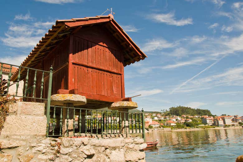 Excursión a las Rías Baixas + Paseo en barco
