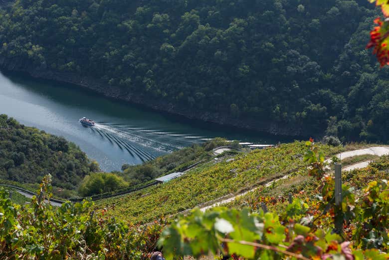 Tour por la Ribeira Sacra y Orense