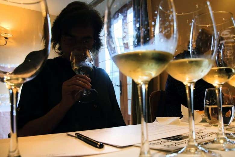 Cata de quesos y vinos en Santiago