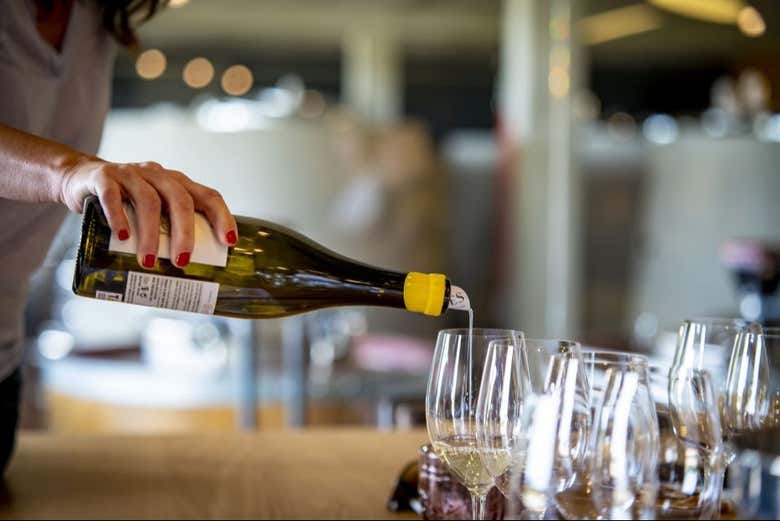 Cata de quesos y vinos en Santiago