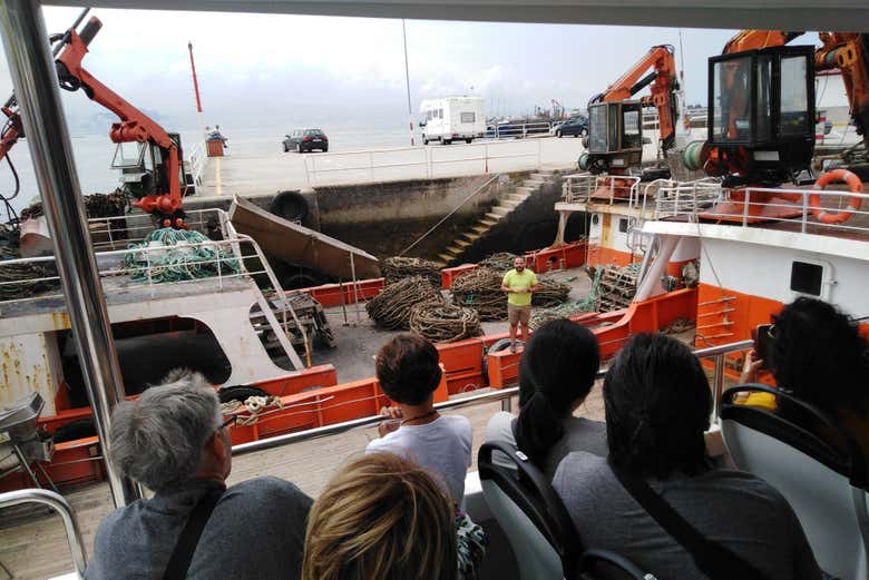 Paseo en barco por la ría + Degustación de mejillones