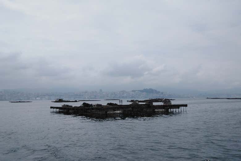 Paseo en barco por la ría + Degustación de mejillones