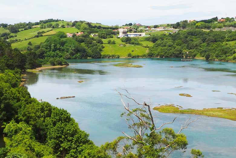 Excursión a San Vicente de la Barquera + Bosque de Secuoyas
