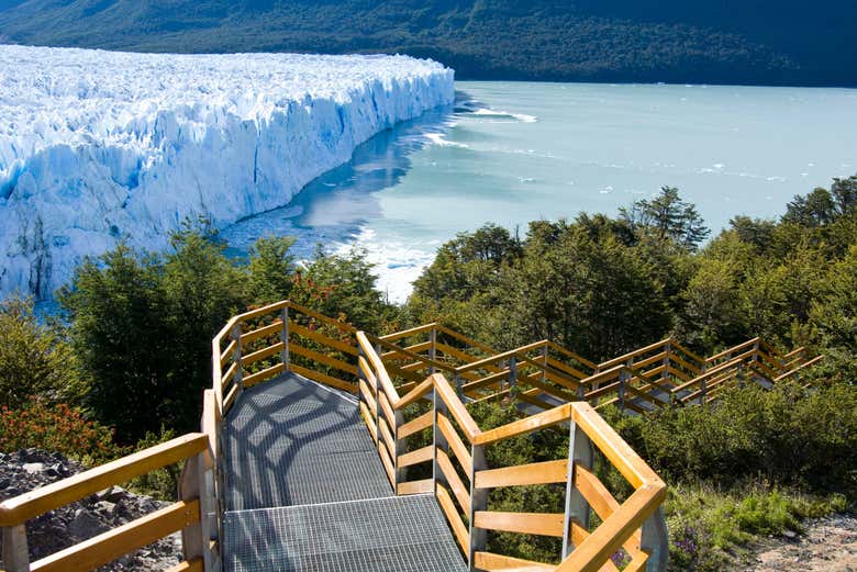 Excursión al glaciar Perito Moreno