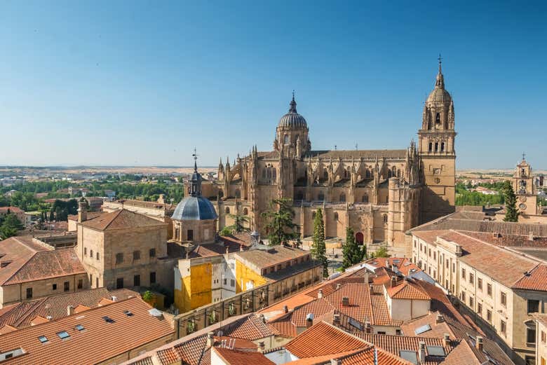 Excursión a Zamora y Salamanca + Bodega de jamones