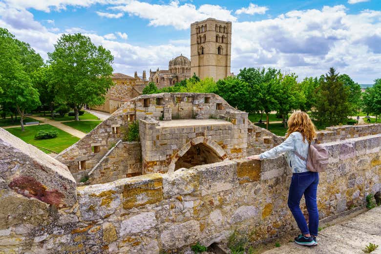 Excursión a Zamora y Salamanca + Bodega de jamones