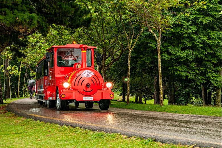 Autobús turístico de Santander