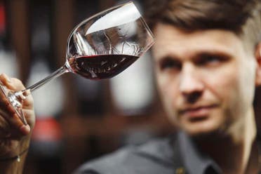 Visita a las bodegas Via Ijalba