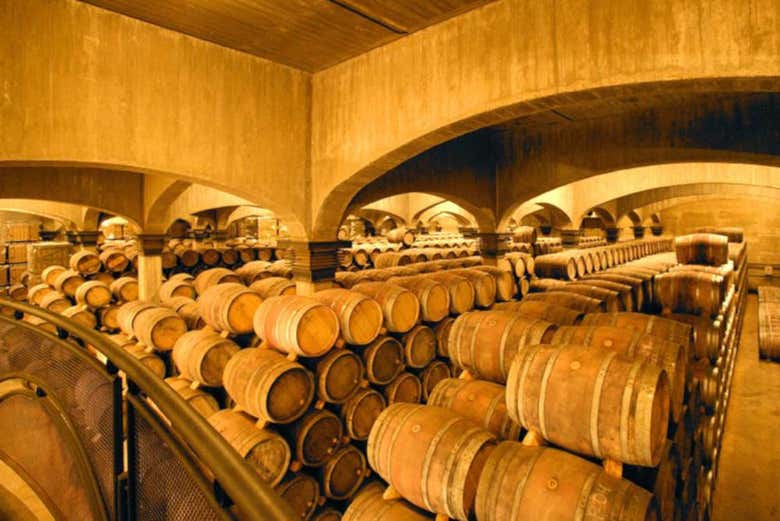 Visita a las bodegas Viña Ijalba