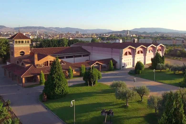 Visita a las bodegas Viña Ijalba