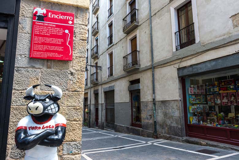 Visita guiada por Pamplona