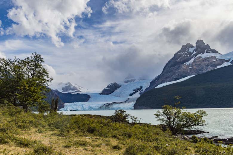 Excursión al Parque Nacional de los Glaciares en barco