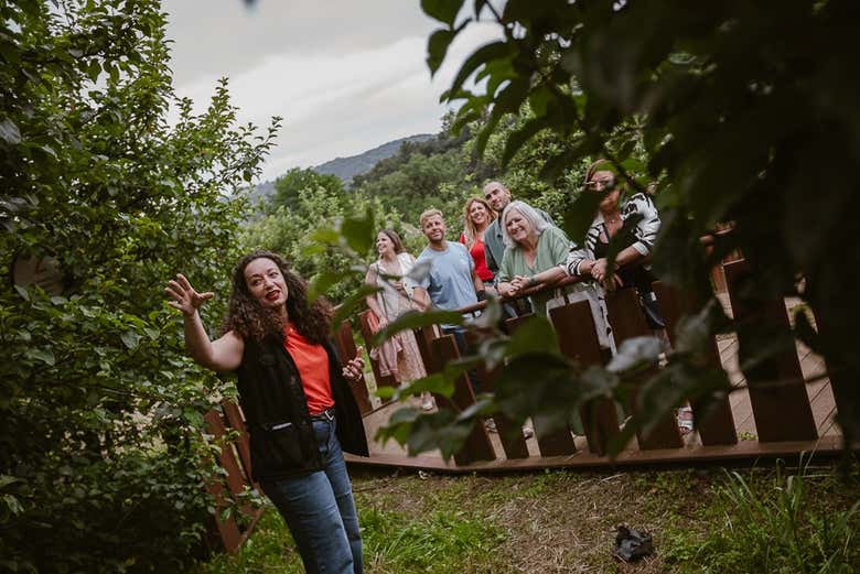 Excursión a Albaola + Visita a una sidrería vasca
