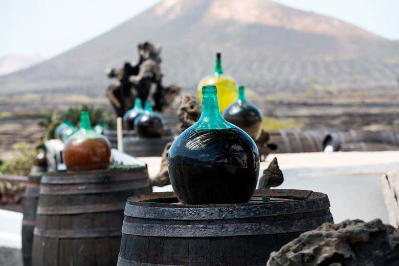 Excursión de medio día por el sur de Lanzarote