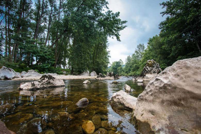 Excursión a las Cuevas de Puente Viesgo
