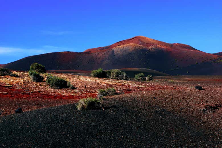 Tour por Timanfaya y sur de Lanzarote para cruceros