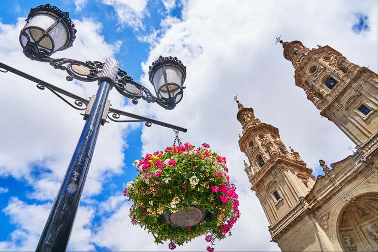 Tour privado por Logroño ¡Tú eliges!