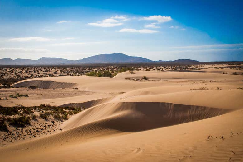 Dunas de Fuerteventura por libre