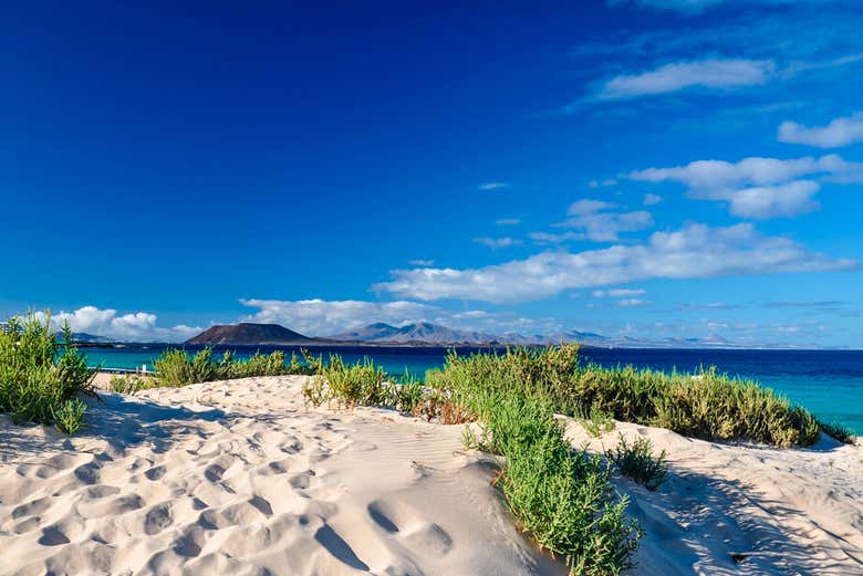 Dunas de Fuerteventura por libre