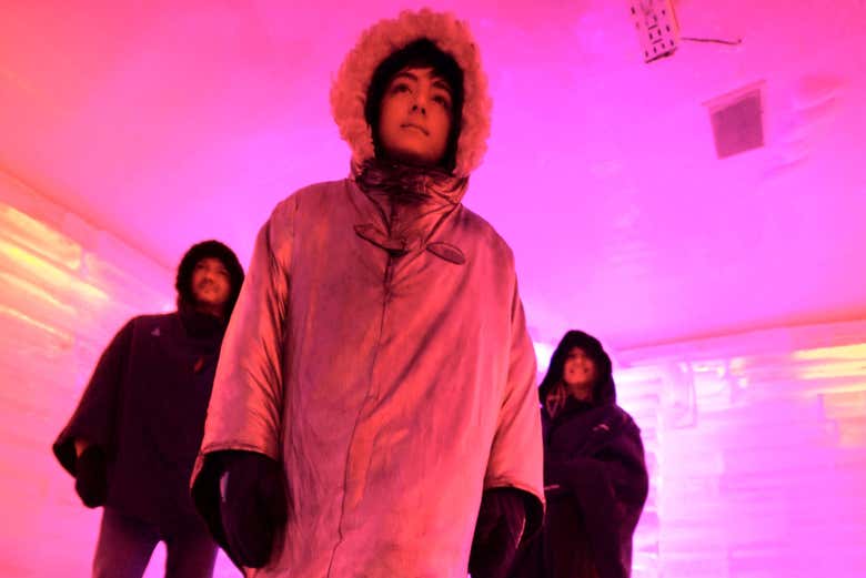 Tour por El Calafate + Visita al Glaciarium