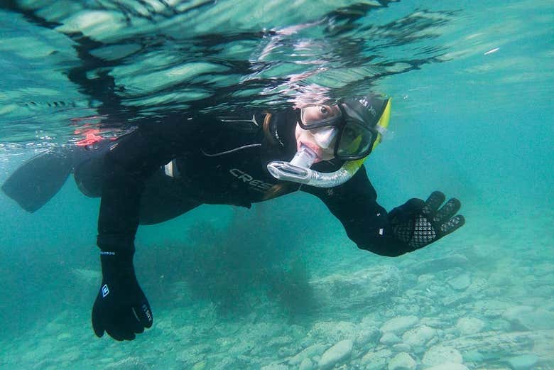 Snorkel en el Canal Beagle