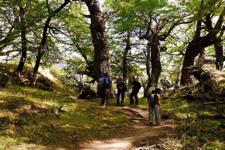 Trekking por la Laguna Capri